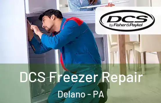  DCS Freezer Repair Delano - PA