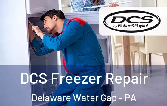  DCS Freezer Repair Delaware Water Gap - PA