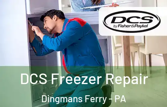  DCS Freezer Repair Dingmans Ferry - PA