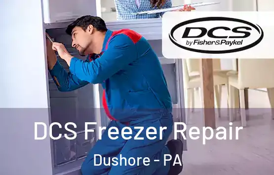  DCS Freezer Repair Dushore - PA