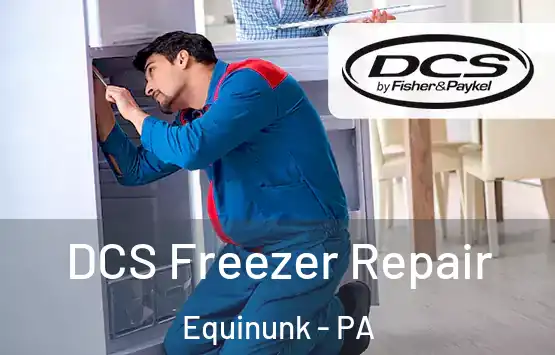  DCS Freezer Repair Equinunk - PA