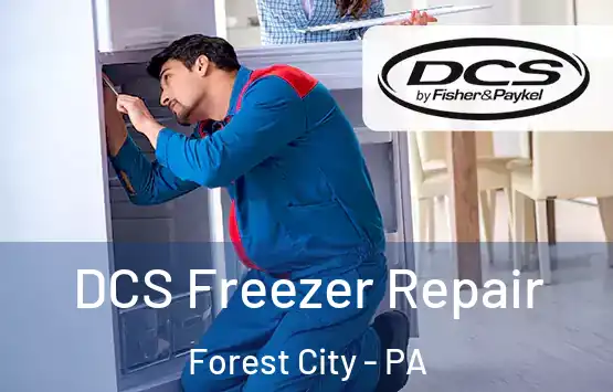  DCS Freezer Repair Forest City - PA
