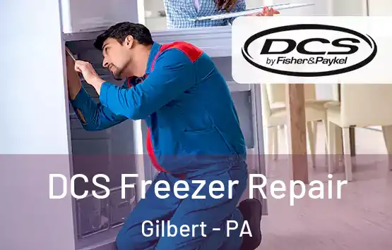  DCS Freezer Repair Gilbert - PA