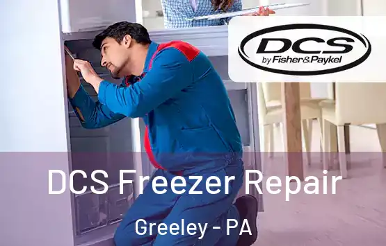 DCS Freezer Repair Greeley - PA