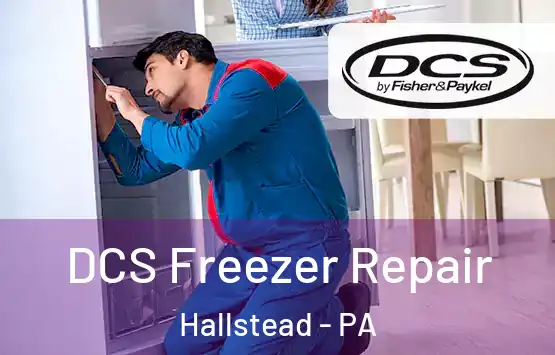  DCS Freezer Repair Hallstead - PA