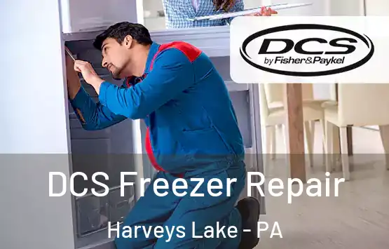  DCS Freezer Repair Harveys Lake - PA