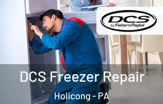  DCS Freezer Repair Holicong - PA