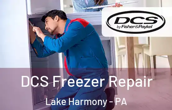  DCS Freezer Repair Lake Harmony - PA