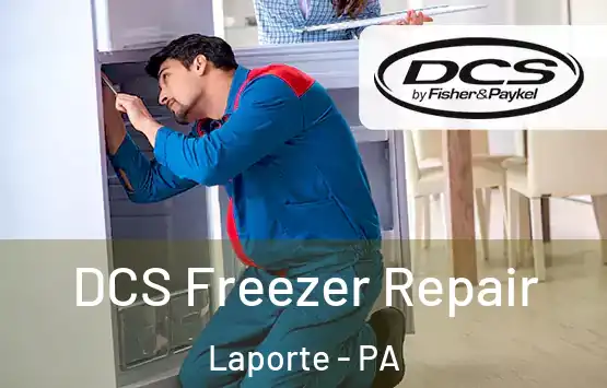  DCS Freezer Repair Laporte - PA