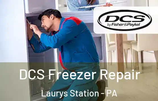  DCS Freezer Repair Laurys Station - PA