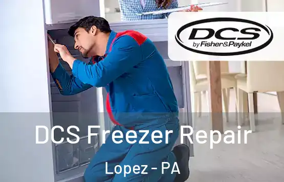  DCS Freezer Repair Lopez - PA
