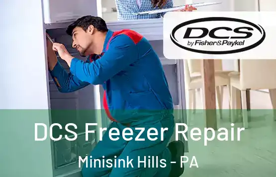  DCS Freezer Repair Minisink Hills - PA
