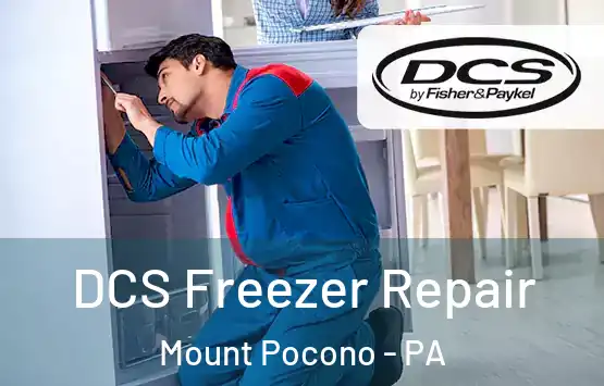  DCS Freezer Repair Mount Pocono - PA