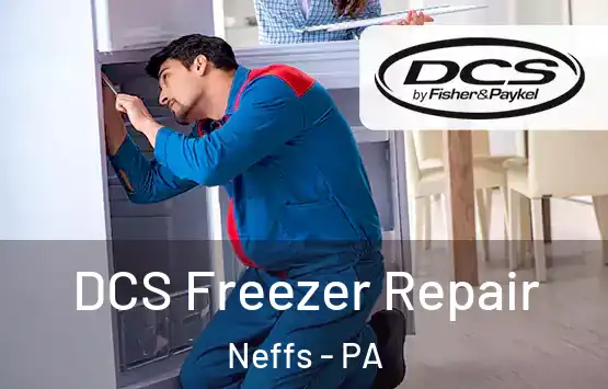  DCS Freezer Repair Neffs - PA
