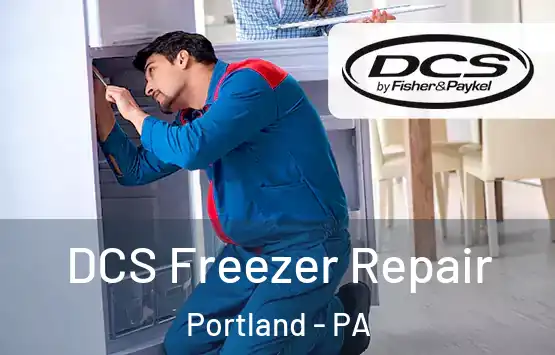  DCS Freezer Repair Portland - PA