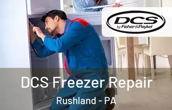  DCS Freezer Repair Rushland - PA