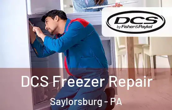  DCS Freezer Repair Saylorsburg - PA