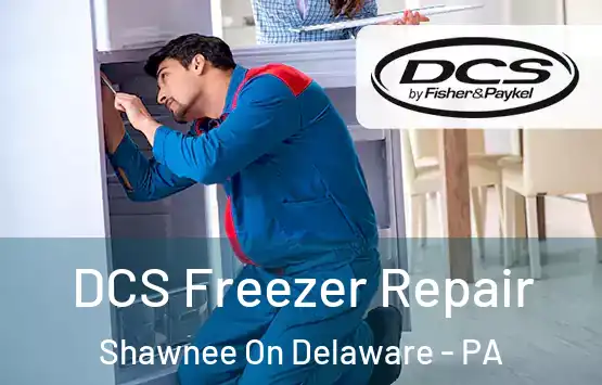  DCS Freezer Repair Shawnee On Delaware - PA