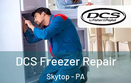  DCS Freezer Repair Skytop - PA