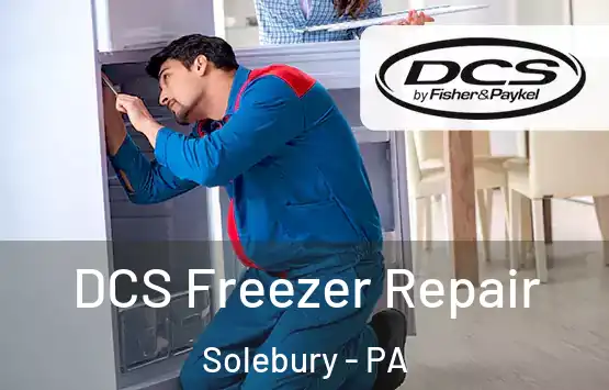  DCS Freezer Repair Solebury - PA
