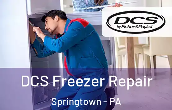  DCS Freezer Repair Springtown - PA