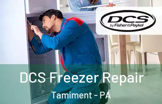  DCS Freezer Repair Tamiment - PA