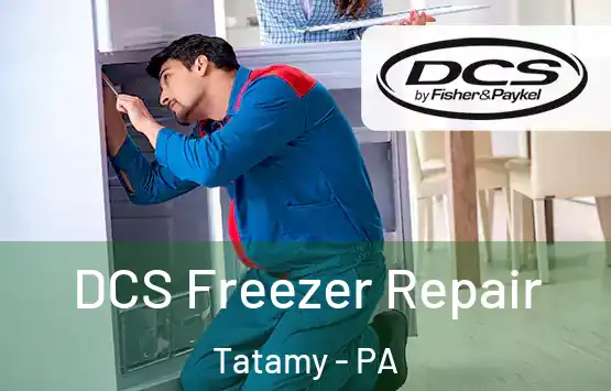  DCS Freezer Repair Tatamy - PA