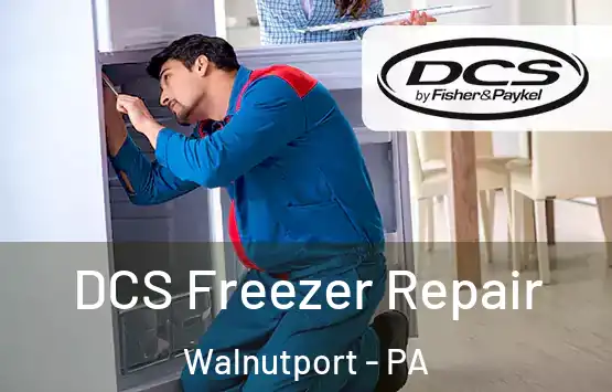  DCS Freezer Repair Walnutport - PA
