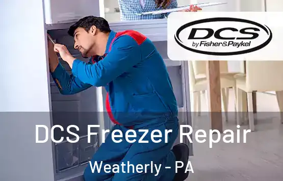  DCS Freezer Repair Weatherly - PA
