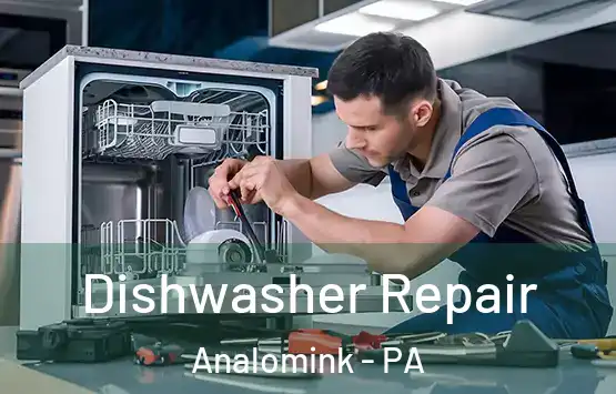  Dishwasher Repair Analomink - PA