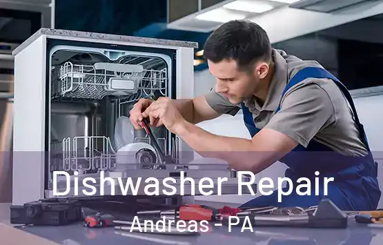  Dishwasher Repair Andreas - PA