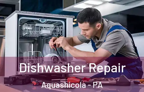  Dishwasher Repair Aquashicola - PA