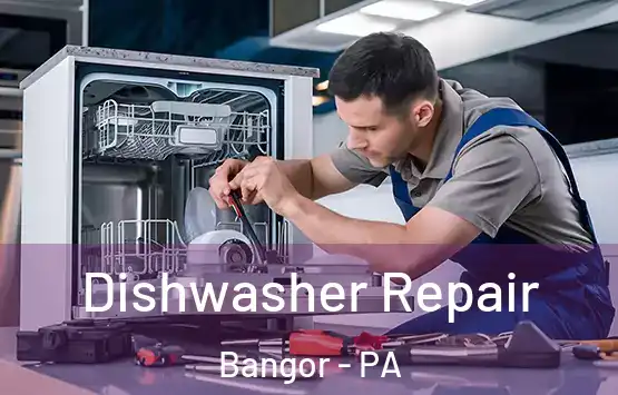  Dishwasher Repair Bangor - PA