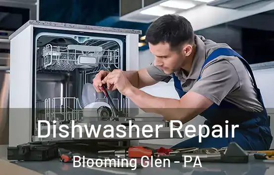 Dishwasher Repair Blooming Glen - PA