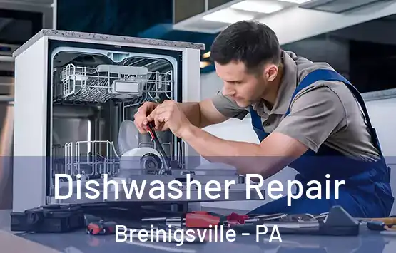  Dishwasher Repair Breinigsville - PA