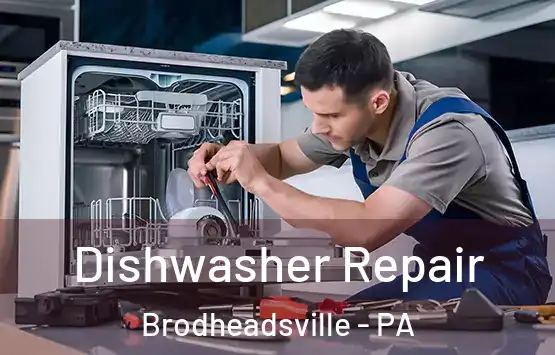  Dishwasher Repair Brodheadsville - PA