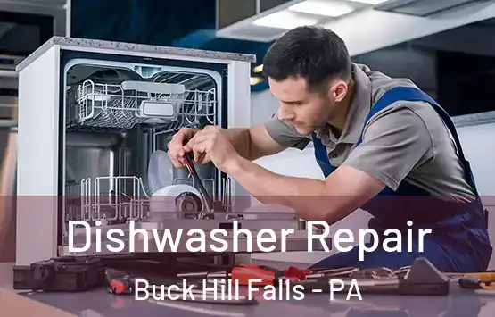  Dishwasher Repair Buck Hill Falls - PA