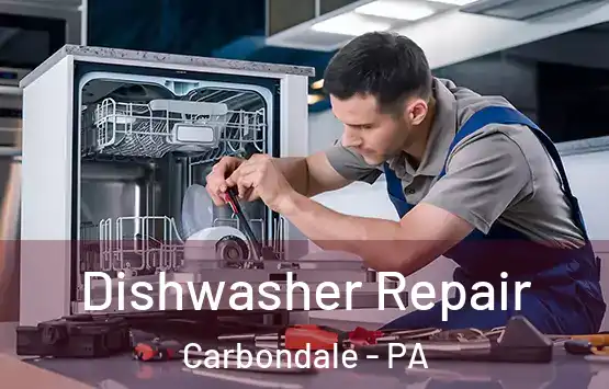  Dishwasher Repair Carbondale - PA