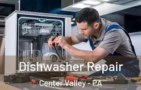  Dishwasher Repair Center Valley - PA