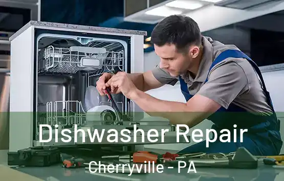  Dishwasher Repair Cherryville - PA