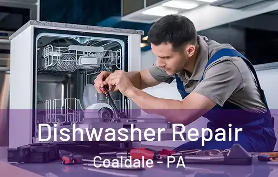  Dishwasher Repair Coaldale - PA
