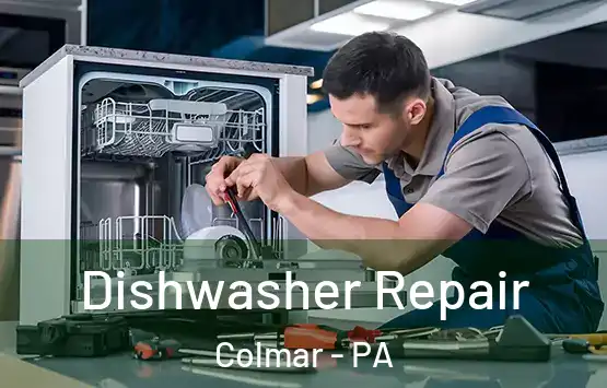  Dishwasher Repair Colmar - PA