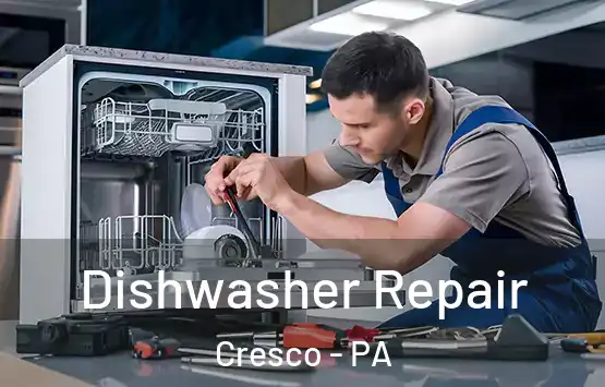  Dishwasher Repair Cresco - PA