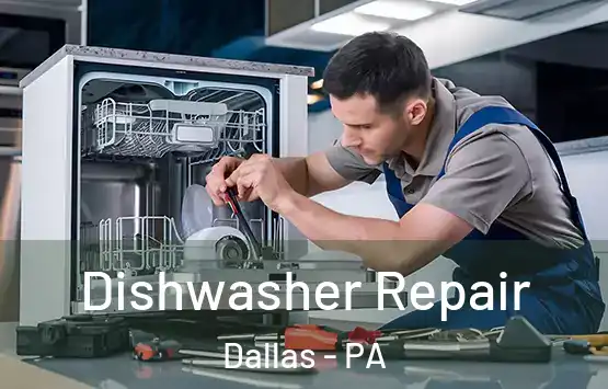  Dishwasher Repair Dallas - PA