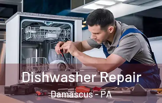  Dishwasher Repair Damascus - PA