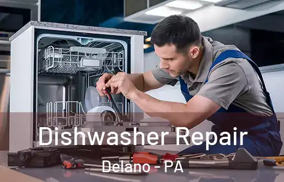 Dishwasher Repair Delano - PA