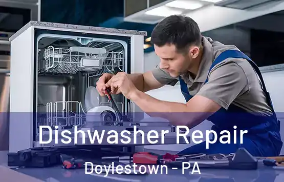  Dishwasher Repair Doylestown - PA