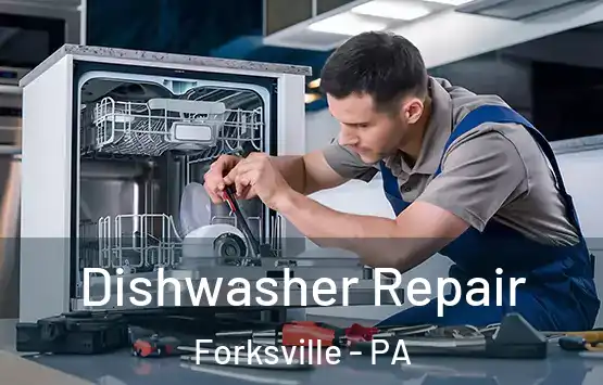 Dishwasher Repair Forksville - PA