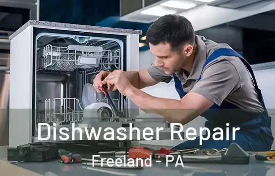  Dishwasher Repair Freeland - PA
