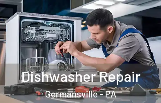  Dishwasher Repair Germansville - PA